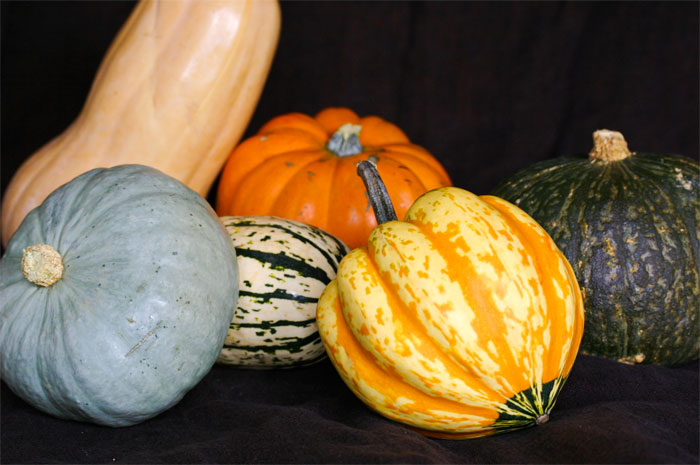 winter squash primer: beyond butternut